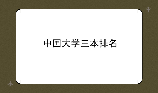 中国大学三本排名
