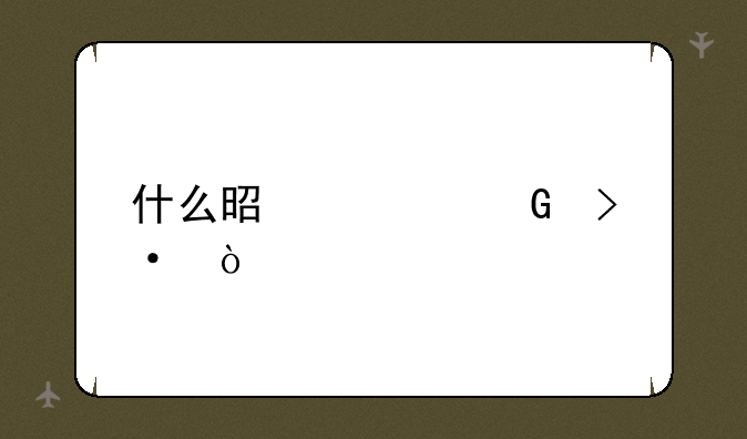 什么是预科班？