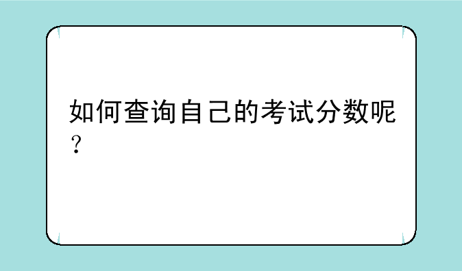 如何查询自己的考试分数呢？