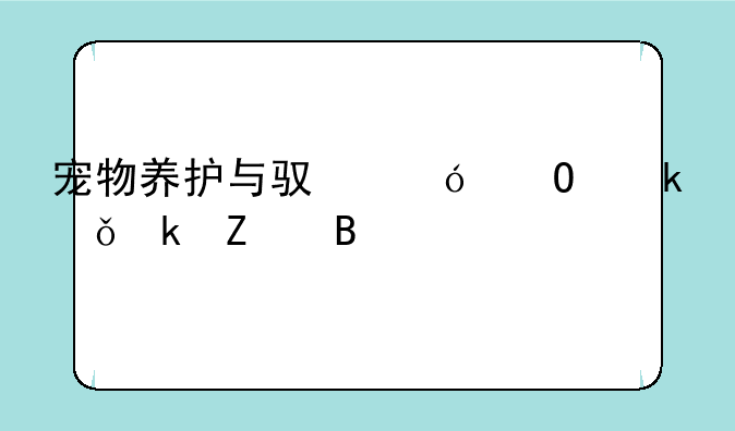 宠物养护与驯导专业就业方向