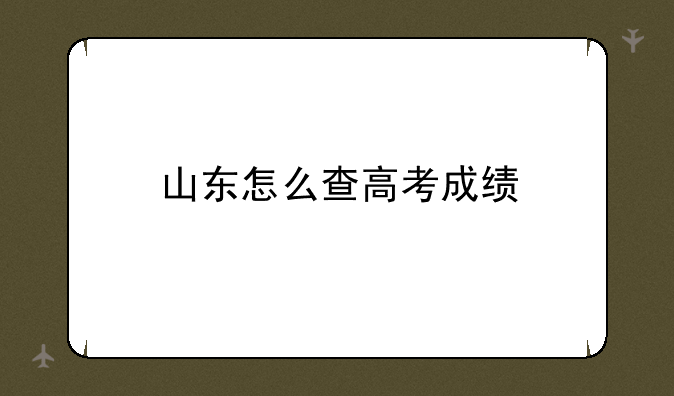 山东怎么查高考成绩