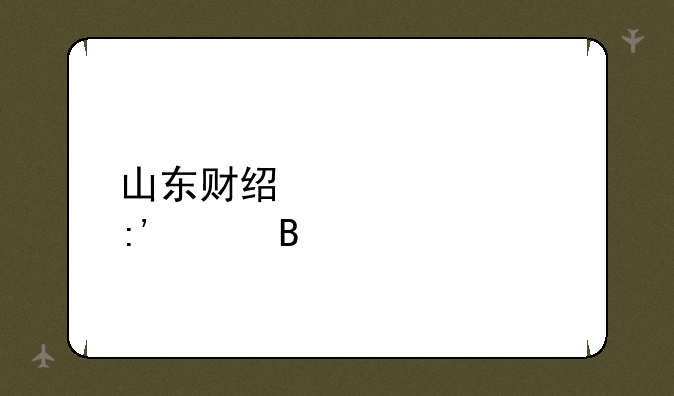山东财经大学厉害吗