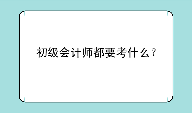 初级会计师都要考什么？