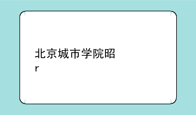 北京城市学院是几本大学