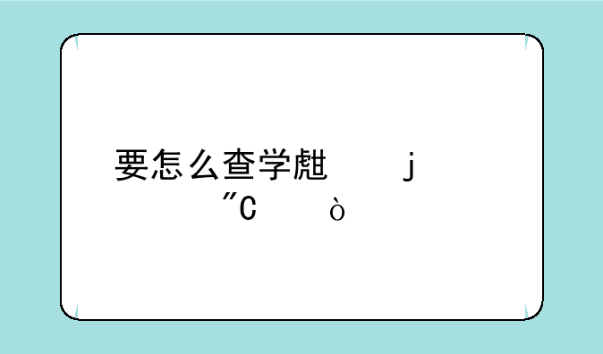 要怎么查学生的中考成绩？