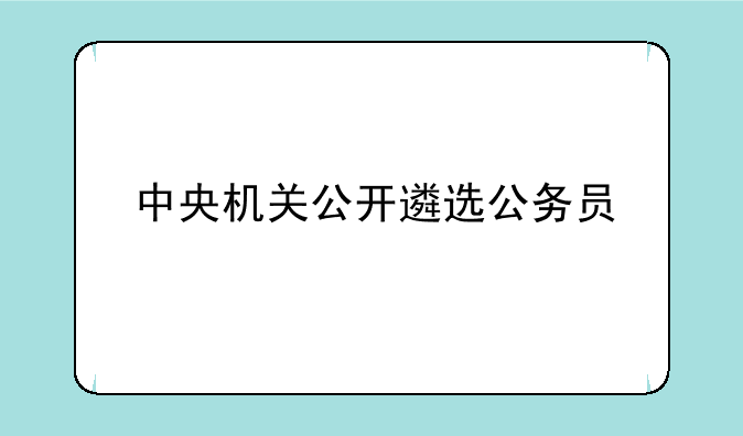 中央机关公开遴选公务员
