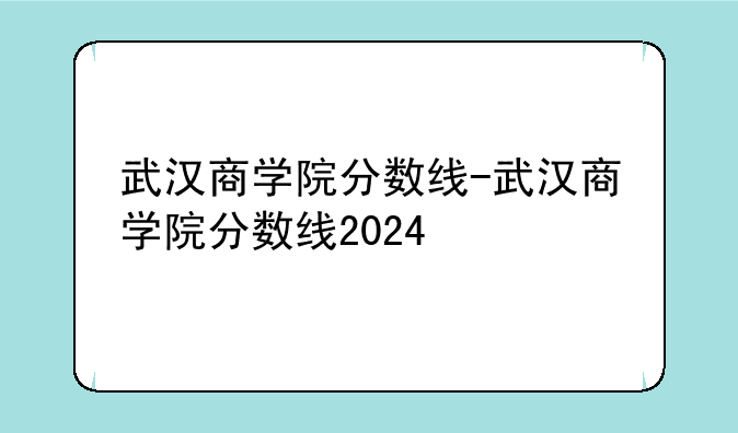 武汉商学院分数线-武汉商学院分数线2024